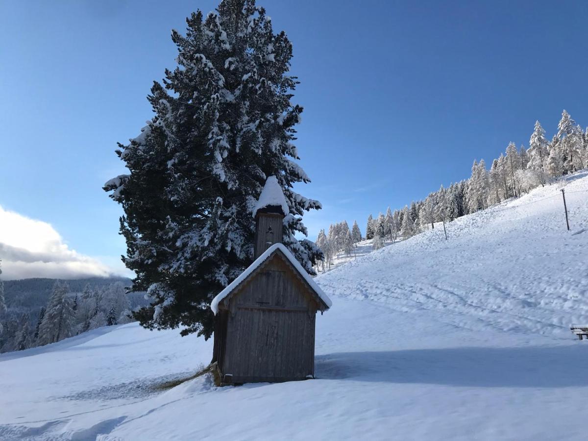 Wohlfuehlpension Kreischberg Inklusive Murau Sommergaestecard Ab 2 Naechte Sankt Georgen ob Murau Eksteriør bilde