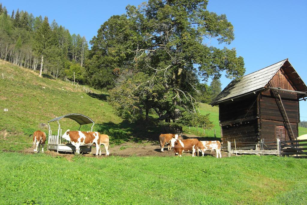 Wohlfuehlpension Kreischberg Inklusive Murau Sommergaestecard Ab 2 Naechte Sankt Georgen ob Murau Eksteriør bilde