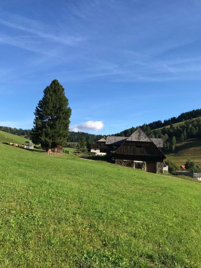 Wohlfuehlpension Kreischberg Inklusive Murau Sommergaestecard Ab 2 Naechte Sankt Georgen ob Murau Eksteriør bilde